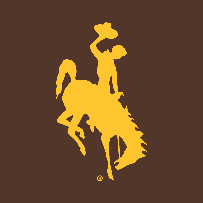 Wyoming Cowboys 2006-Pres Alternate Logo v2 diy fabric transfer